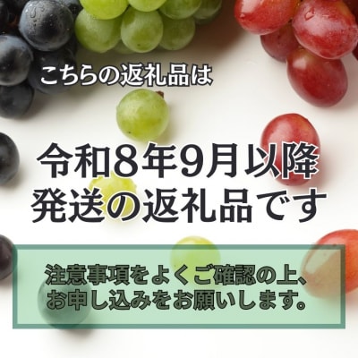 【令和8年分 先行受付】シャインマスカット 約1kg