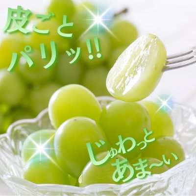 【令和8年分 先行受付】シャインマスカット 約1kg