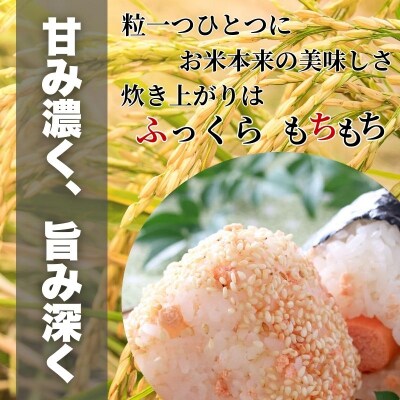 【令和7年産】濃福米 3kg|米 奈良県吉野町産 ひのひかり 