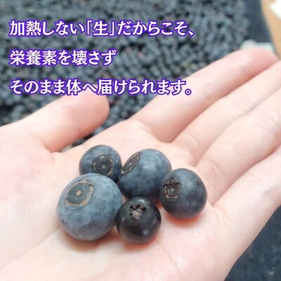【令和8年分 先行受付】ブルーベリー 2kg 