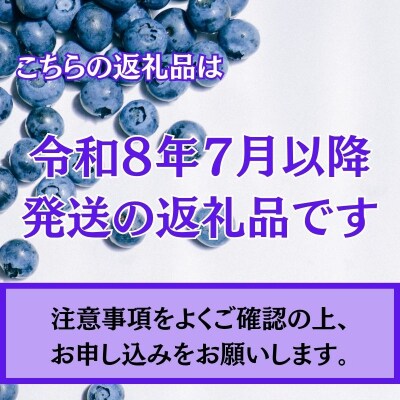 【令和8年分 先行受付】ブルーベリー 2kg 
