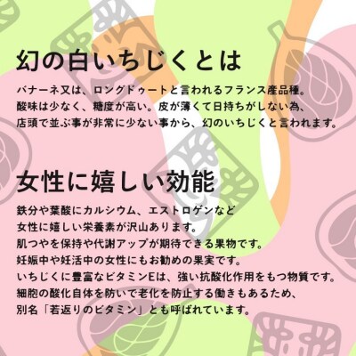 【数量限定】幻の白いイチジク吉野葛アイスバー　5本入り