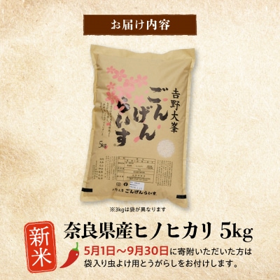 【令和8年産】ひのひかり5kg×1袋