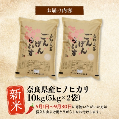 【令和8年産】ひのひかり10kg(5kg×2袋)