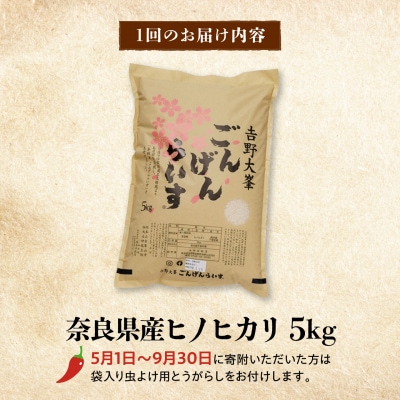 【全3回定期便】ひのひかり 奈良のお米のお届け便 5kg