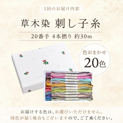 【全12回定期便】草木染刺し子糸20番手 4本撚り 約30mおまかせ20色セット 