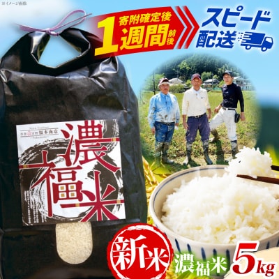 【先行受付】ひのひかり 新米 5kg 令和8年度産