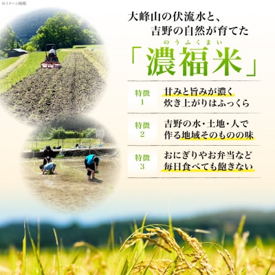 【先行受付】ひのひかり 新米 5kg 令和8年度産
