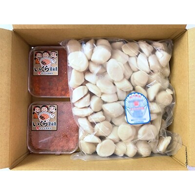【国産・生食可】ほたて貝柱約1kg&いくら醤油漬けセット B813