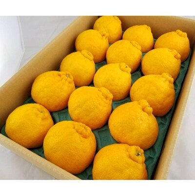 産地厳選デコポン 約5kg(12～28玉) 　寄付金10000円