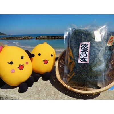 漁師の素潜り天然塩わかめ(300g×4セット)