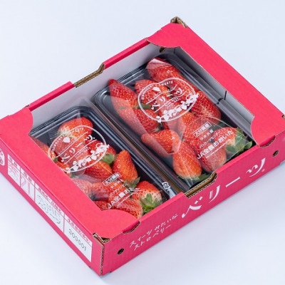【先行予約】【26年2月以降順次発送】大分産ベリーツ(約250g×6パック)(日田市)