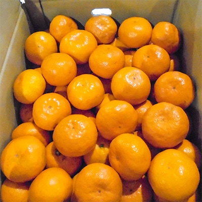 はなまる物語みかん5kg