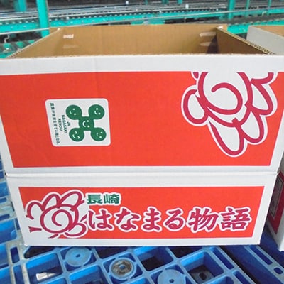 はなまる物語みかん5kg