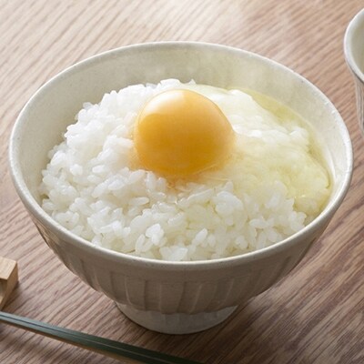 シンガポール政府も認めた【トレたま】(6個入り×4パック)