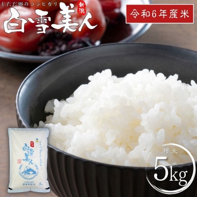 令和6年産米 特別栽培米 下田産コシヒカリ 白雪美人 精米 5kg【011S096】