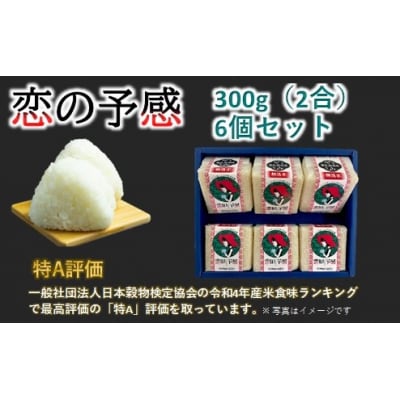 キューブ型 無洗米 恋の予感2合(300g)×6個セット ギフト 個包装 真空パック | ふるさと納税のお礼品