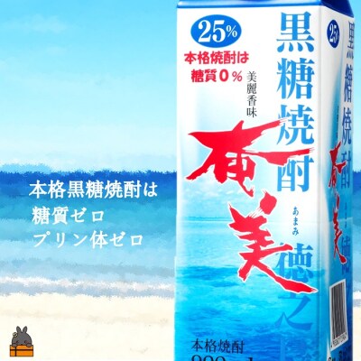 《蔵元直送便》黒糖焼酎　「奄美(25度)」900mlパック　(96本セット)