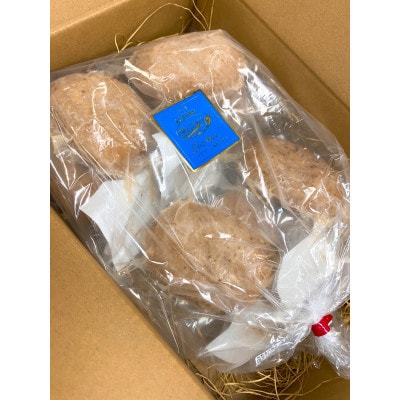 国産豚ハンバーグ7個セット