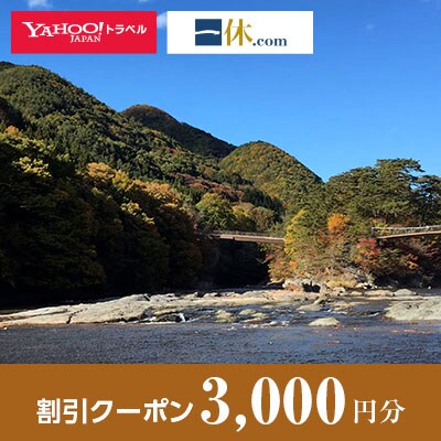 【群馬県片品村】一休.com・Yahoo!トラベル割引クーポン(3,000円分)