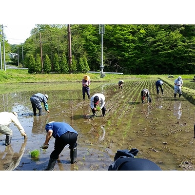 [葛飾区民手作りの酒]特別純米酒「葛飾の花」一升瓶1本