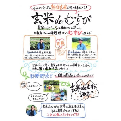 玄米deむすび　6パック