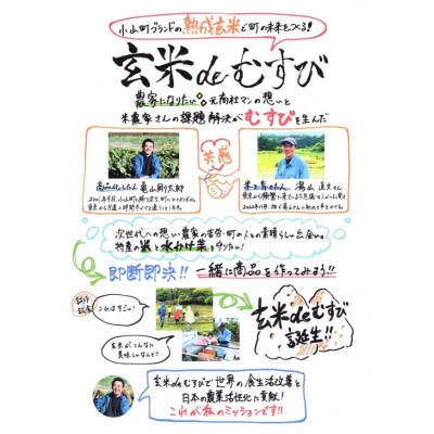 玄米deむすび　10パック