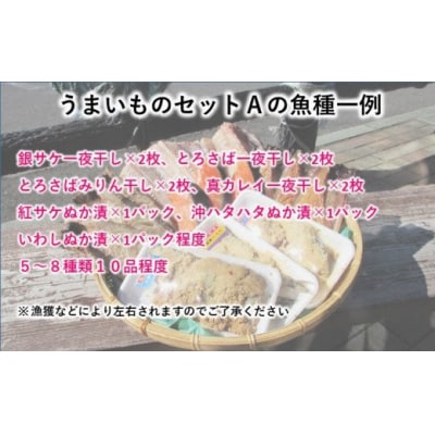 干物詰め合わせ 10品5~8種程度 うまいものセットA[No.5685-1204]