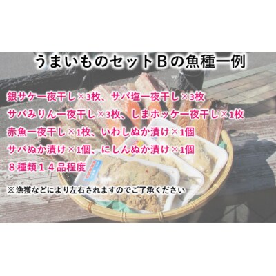 秋田の干物セットB 約7種類(干物 セット 人気 詰め合わせ)[No.5685-1205]