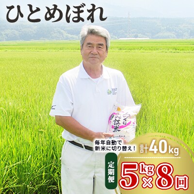 【定期便】5kg×8ヶ月 大粒で低タンパクなひとめぼれ(土づくり実証米)[No.5685-2053]
