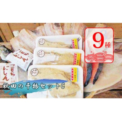 干物 詰め合わせ セット 9種15品程度 ぬか漬け[No.5685-1496]