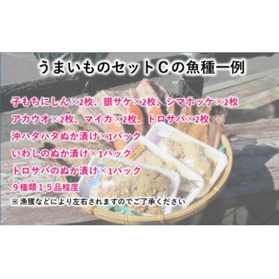 干物 詰め合わせ セット 9種15品程度 ぬか漬け[No.5685-1496]