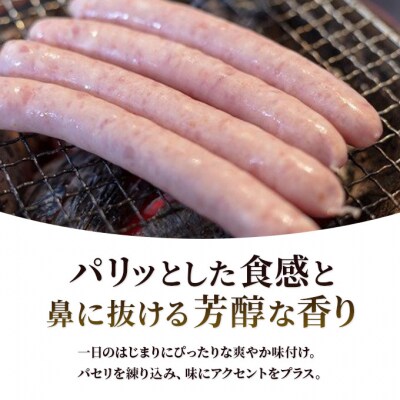 レモン風味 ソーセージ 5本×3袋 レモンパセリーナ[No.5685-1637]