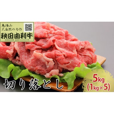 秋田由利牛(黒毛和牛) 切り落とし 5kg(1kg×5)[No.5685-1787]