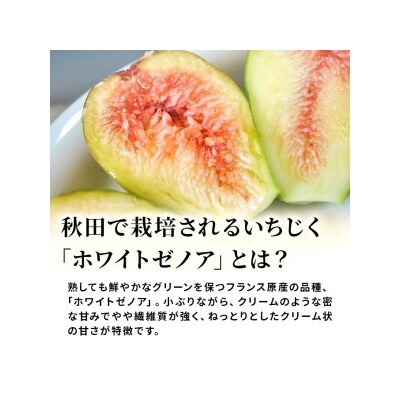 フローズンいちじく4kg(1kg×4袋) [No.5685-1651]