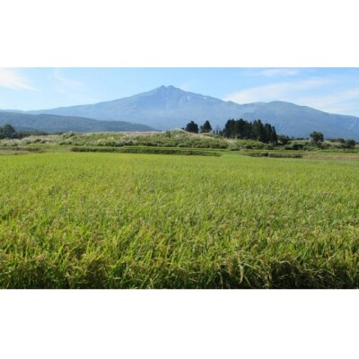 鳥海山の恵み!秋田県産 あきたこまち ひの米 2kg(精米) [No.5685-2717]