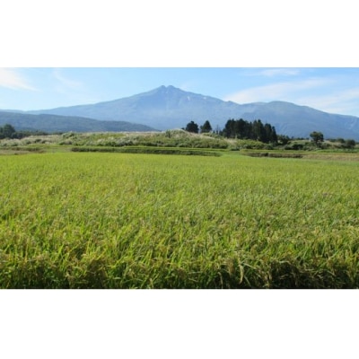 《定期便》2kg×3ヶ月 秋田県産 あきたこまち ひの米(精米)[No.5685-2718]