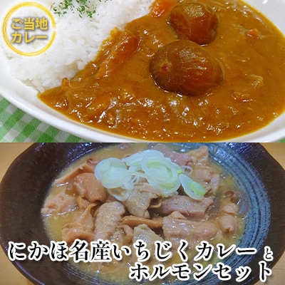 《ダイニングぶなの森オリジナル》いちじくカレーとホルモン煮込みのセット[No.5685-1868]