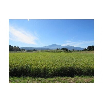 秋田県産あきたこまち「ひの米」20kg(精米 10kg×2袋) [No.5685-2628]