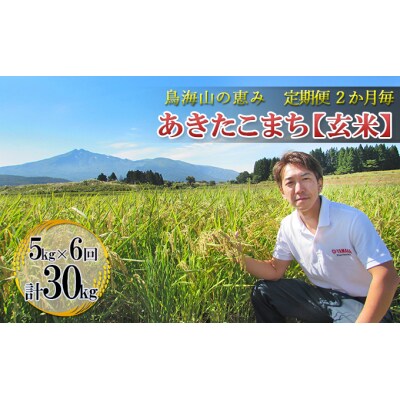 隔月6回 あきたこまち 5kg 玄米 定期便 ひの米[No.5685-2652]