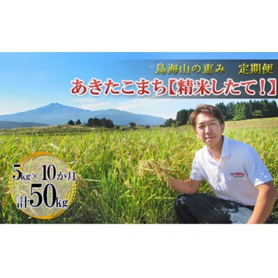 5kg×10回 あきたこまち(精米) 定期便(お米 10ヶ月)[No.5685-2660]