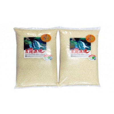 《数量限定》10kg 減農薬 特別栽培米 コシヒカリ(令和3年 精米) [No.5685-1848]