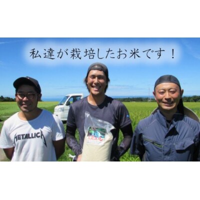 《数量限定》10kg 減農薬 特別栽培米 コシヒカリ(令和3年 精米) [No.5685-1848]