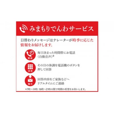 みまもりでんわサービス(携帯電話3か月) [No.5685-1812]