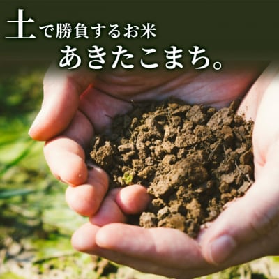 【定期便】5kg×12回 秋田県産 あきたこまち 土づくり実証米[No.5685-2050]