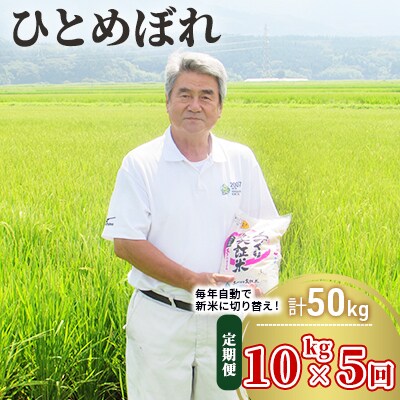 定期便 10kg×5ヶ月 大粒低タンパク ひとめぼれ(土づくり実証米)[No.5685-2061]