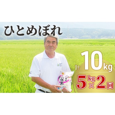 ひとめぼれ 10kg(5kg×2) 大粒で低タンパク 「土づくり実証米」[No.5685-2059]