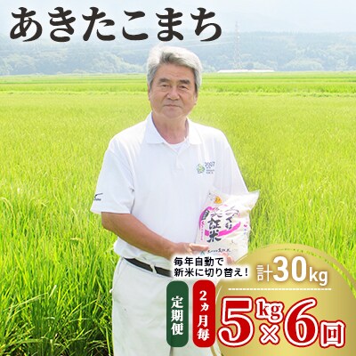 定期便 5kg×6回隔月 大粒低たんぱく あきたこまち(土づくり実証米)[No.5685-1296]
