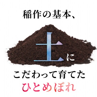 定期便 5kg×5ヶ月 大粒で低タンパクなひとめぼれ 土づくり実証米[No.5685-2071]