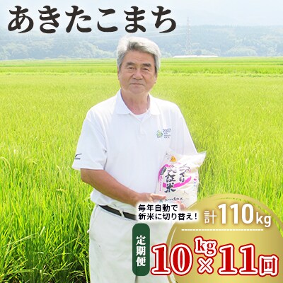 定期便 10kg×11ヶ月 大粒で低タンパクなあきたこまち 土づくり実証米[No.5685-2082